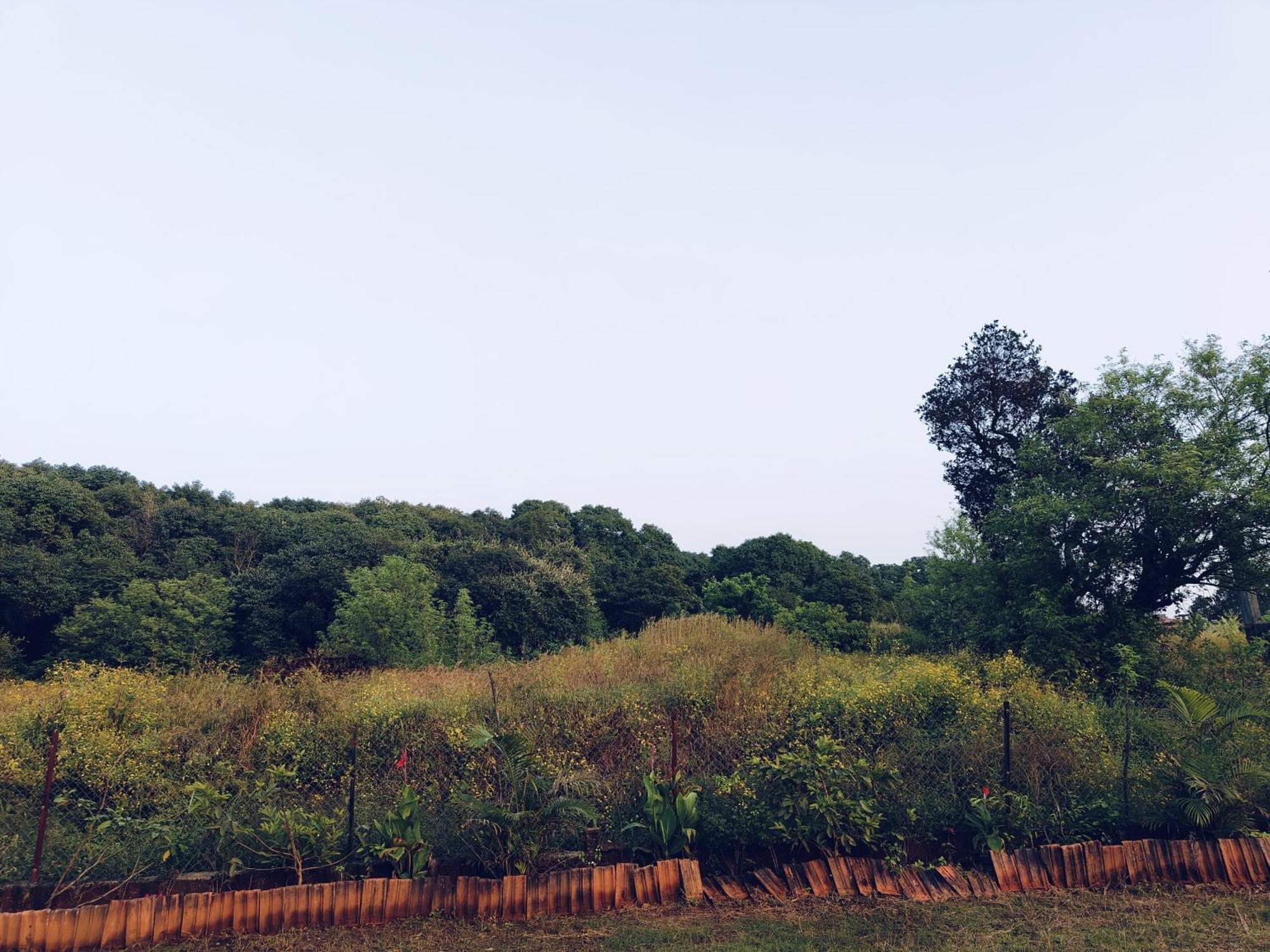 Laforesta By Mahabaleshwar Stay Ngoại thất bức ảnh